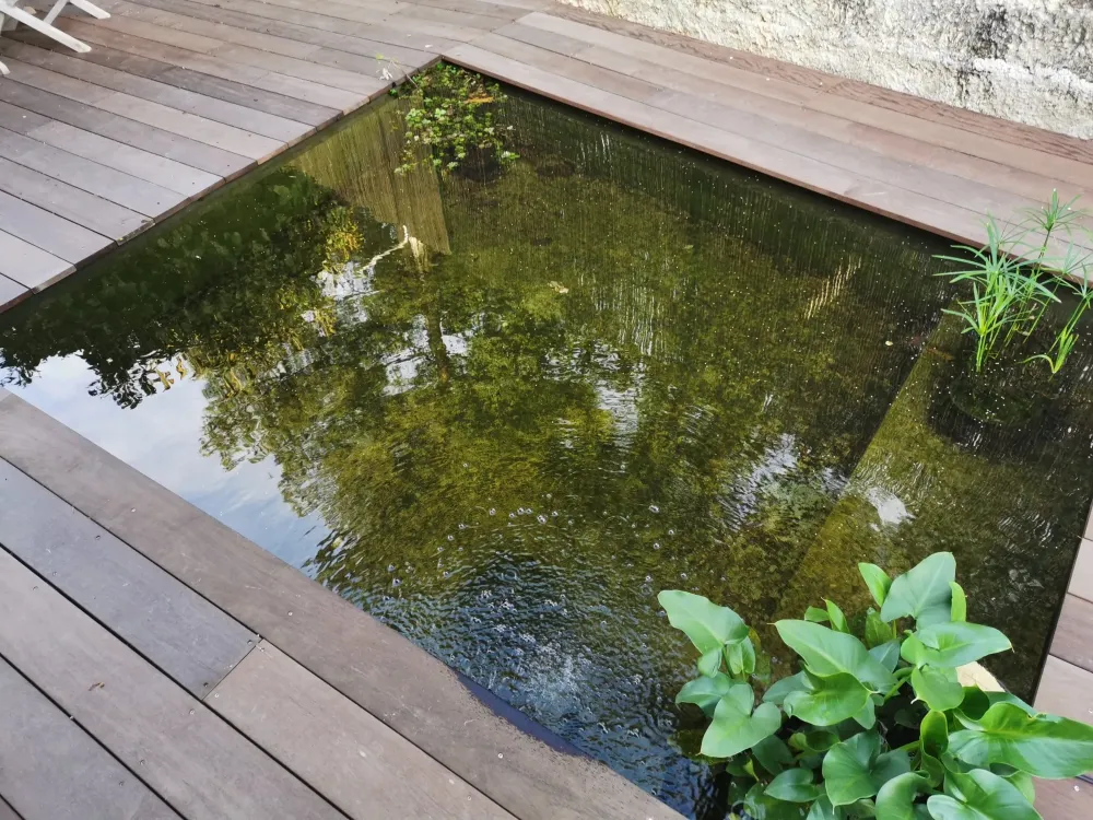 architecte-sanary-sur-mer-renaud-nicollet (13)