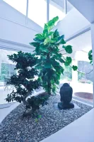 Villa secondaire rénovation RDC (1)webp